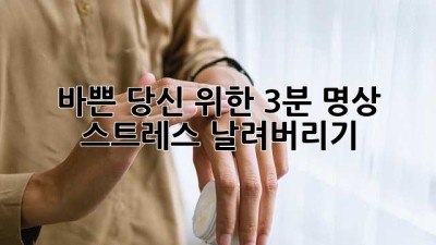 바쁜 당신 위한 3분 명상: 스트레스 날려버리기