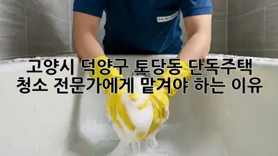 고양시 덕양구 토당동 단독주택 청소, 전문가에게 맡겨야 하는 이유